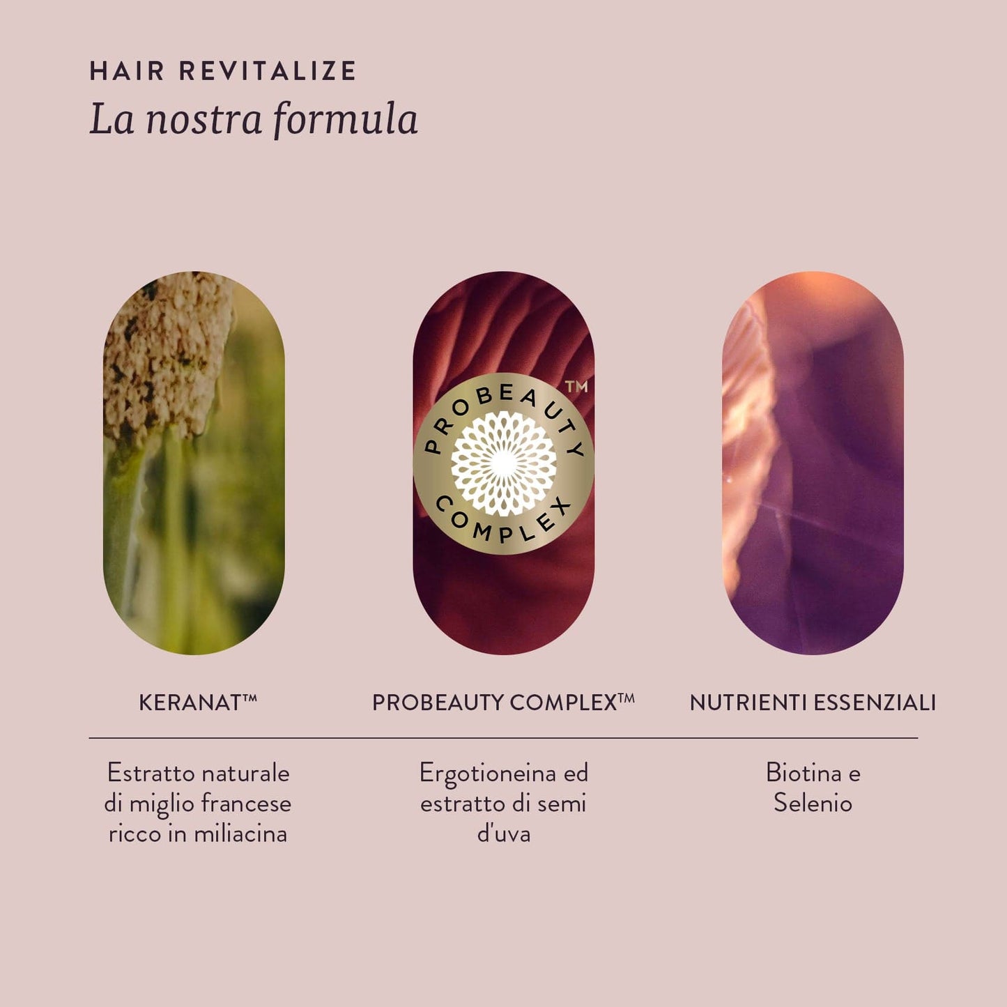 HAIR REVITALIZE