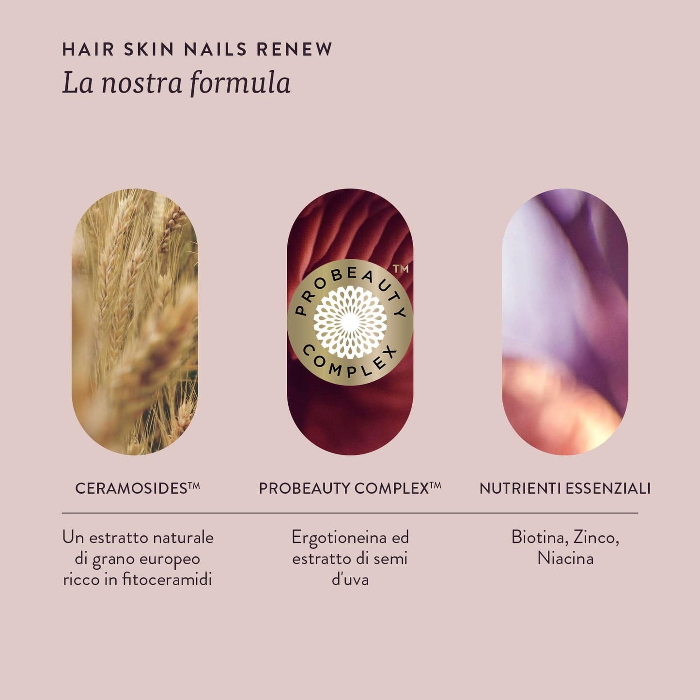 HAIR SKIN NAILS RENEW