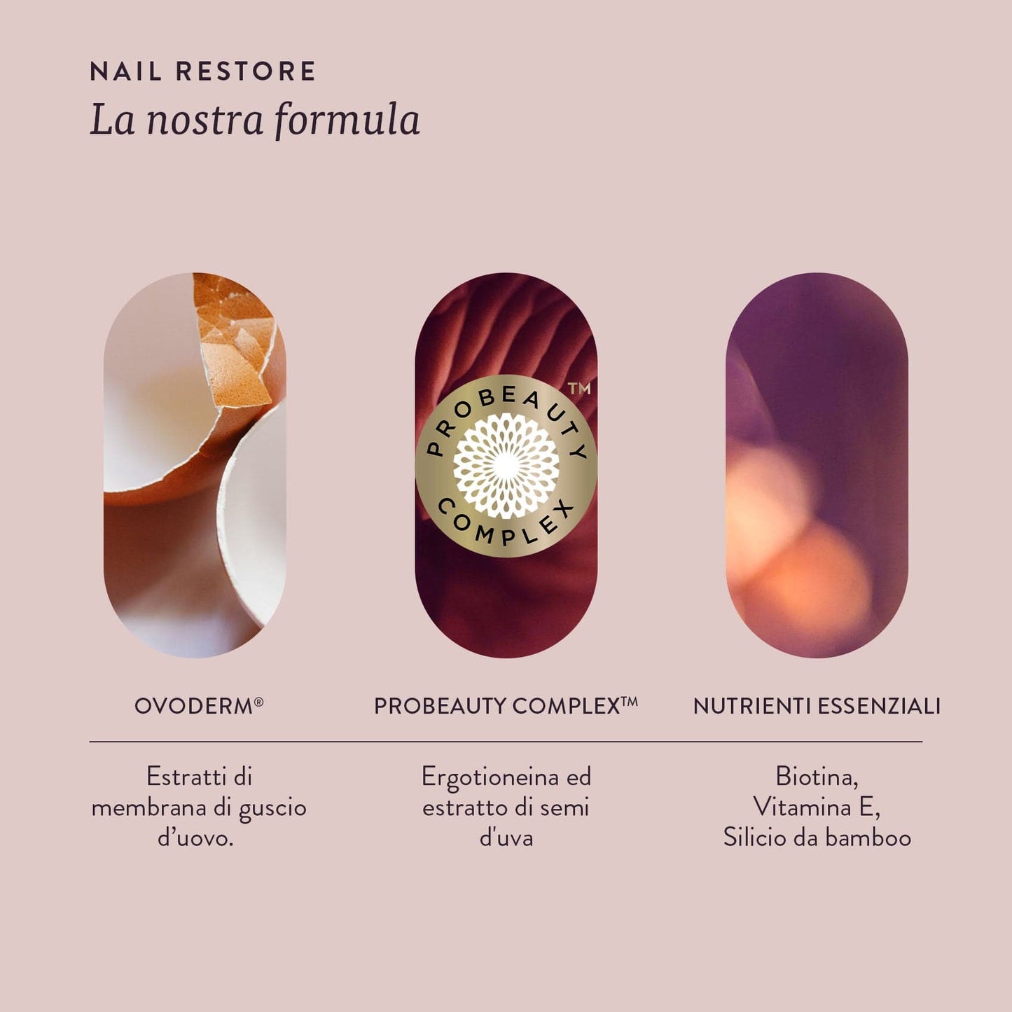 NAIL RESTORE